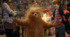 Paddington Quiz "Funny moments"