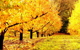 04008rrk-c2b3-512x320.jpg