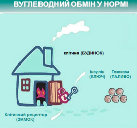 ДІАБЕТ 3