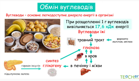 04008xn1-9881-448x262.png