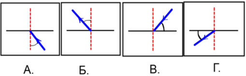 04009310-a677-509x158.png