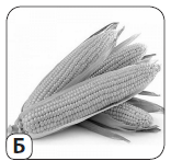 040094o8-6ae2-156x147.png