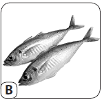 040094oe-9406-151x149.png