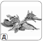 040094oy-701e-158x150.png