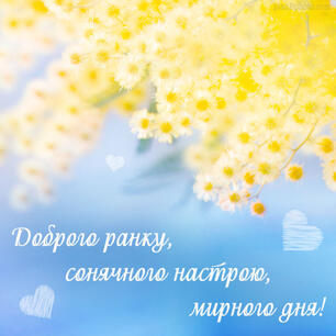 040096ck-794c-306x306.jpg