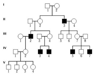 040096nt-8220-322x251.png