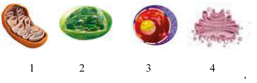 040097hn-77e8-370x120.png