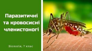 7 клас Паразитичні та кровосисні членистоногі