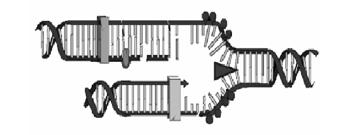 040098v1-4184-700x269.png