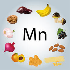Illustration D'aliments Riches En Magnésium Clip Art Libres De Droits , Svg , Vecteurs Et Illustration. Image 89491954.