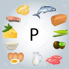 Ilustración De Alimentos Ricos En Fósforo. Ilustraciones Svg, Vectoriales, Clip Art Vectorizado Libre De Derechos. Image 89426684.