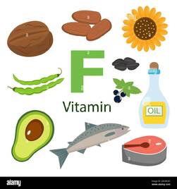 Vitamina F y vector conjunto de alimentos ricos en vitamina F. Estilo de vida saludable y concepto de dieta Imagen Vector de stock - Alamy