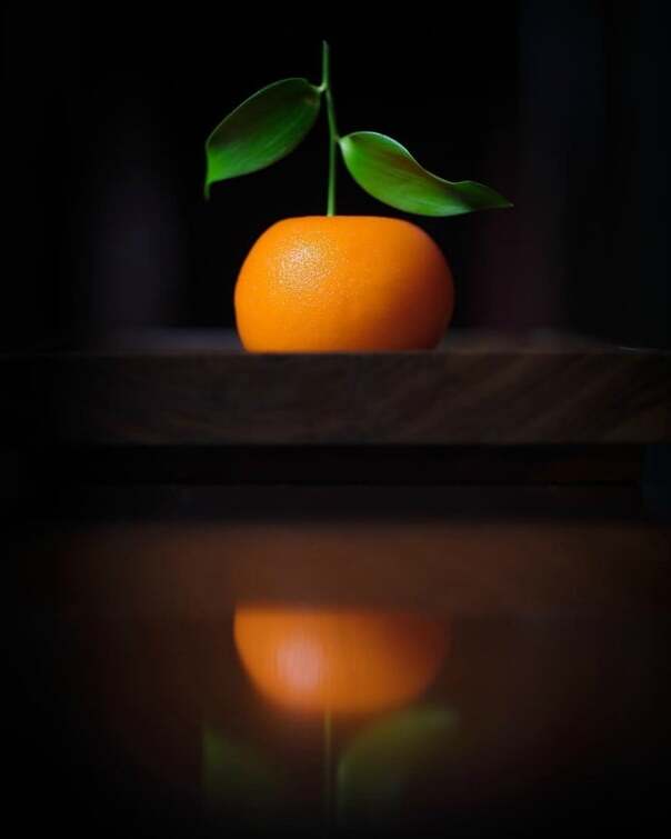 Meat Fruit by Heston Blumenthal