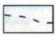 04009coe-2024-82x52.png