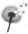 04009iw5-6f71-31x38.png