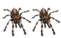 04009jl2-8673-61x38.png