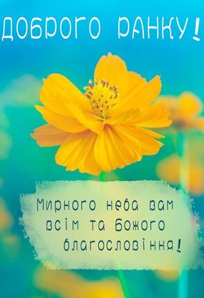 04009jx5-4d85-295x430.jpg
