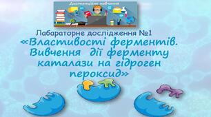 Лабараторне дослідження №1  «Властивості ферментів. Вивчення  дії ферменту каталази на гідроген пероксид»