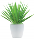 04009qu2-8f97-109x126.png