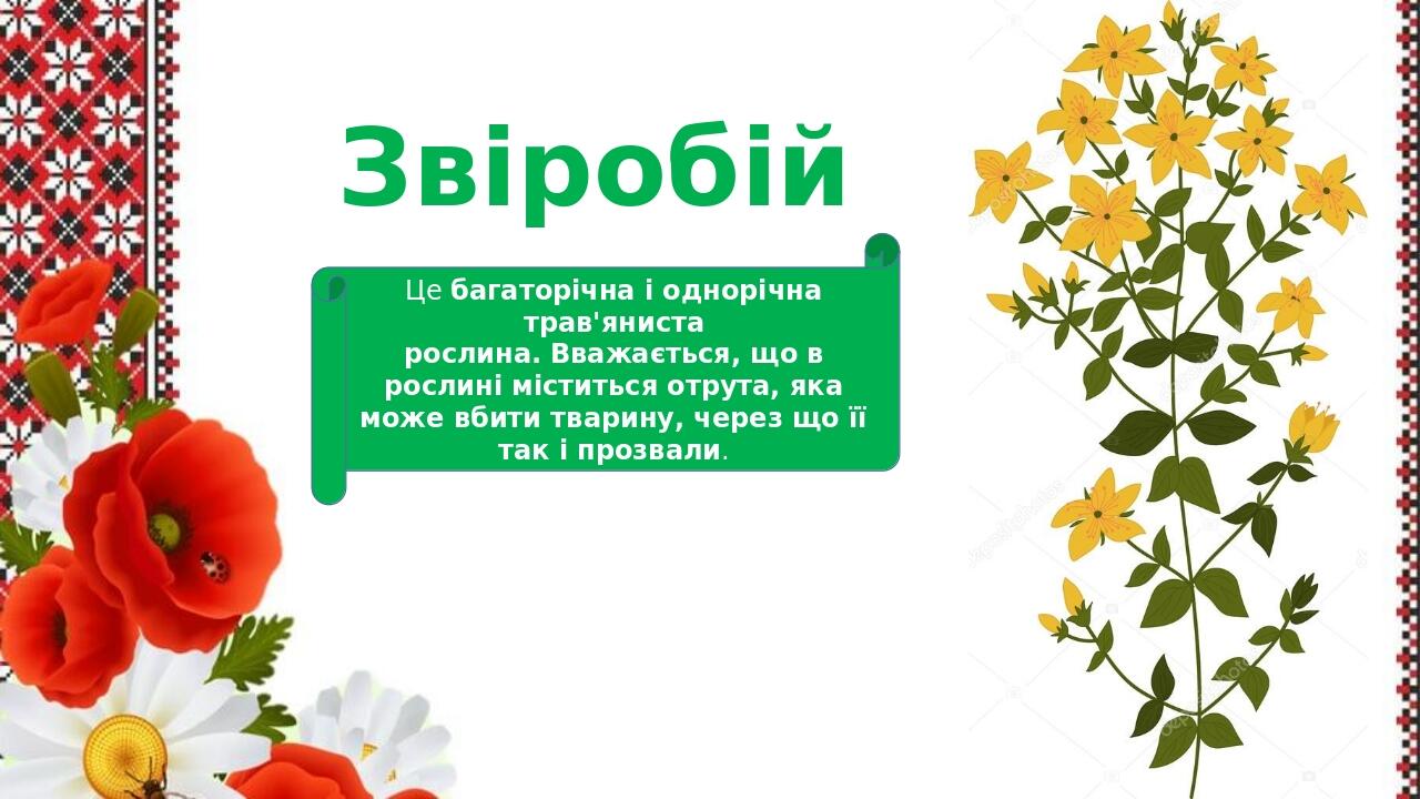 Письмові літери Й, й | Презентація. Початкова освіта