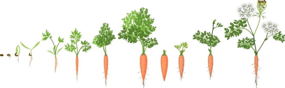 04009qv7-b779-940x291.png