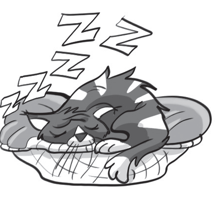 04009r7a-135f-438x420.png