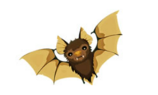 04009rtv-6d3b-223x134.png