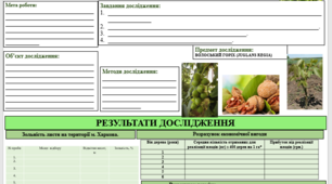 Як робити постер. Шаблон постеру для МАН та екологічного проекту, який редагується власноруч