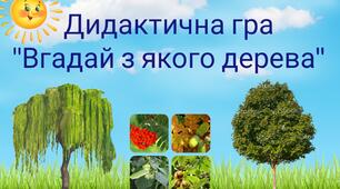Дидактична гра "Вгадай з якого дерева"
