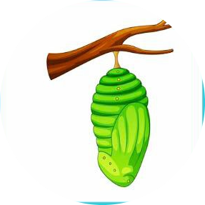 04009ypu-fba2-287x287.png