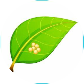 04009yq1-319e-287x287.png