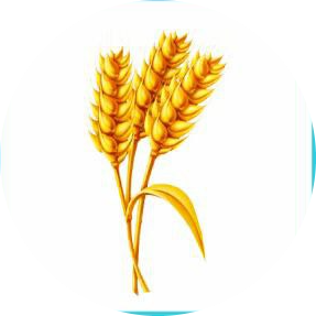 04009yrg-89ee-287x287.png
