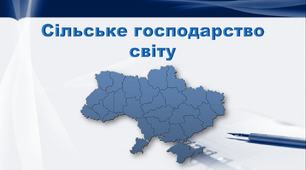 Презентація з географії 9 клас. "Сільське господарство світу"
