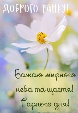 0400a46h-94f3-254x366.jpg