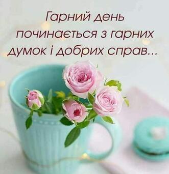 0400a57c-aa3d-331x342.jpg