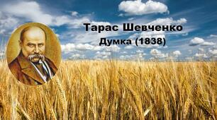 Тарас Шевченко. Вірш «Думка» («Тече вода в синє море»).
