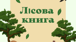 Конспект інтегрованого заняття   (ознайомлення з природою+мовленнєвий  розвиток+образотворча діяльність)  на тему:  «В пошуках лісової книги»  для дітей старшого дошкільного віку