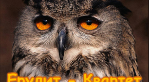 Ерудит - квартет