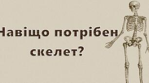 Презентація до уроку Я досліджую світ -  Навіщо потрібен скелет? (3 клас)