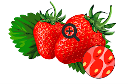 0400a9wi-fe3a-260x170.png