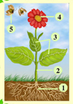 0400aa4i-aa0c-148x210.png