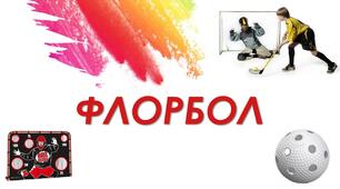 Фізкультура. Презентація. Модуль ФЛОРБОЛ.