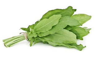 0400aj04-b45f-316x188.png