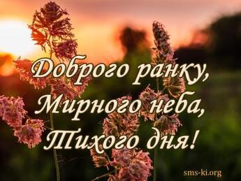 0400am2n-eead-345x259.jpg