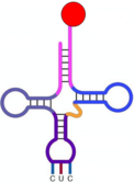 0400amrw-5dc4-122x166.png