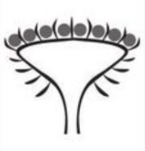 0400asbk-4562-145x151.png
