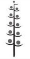 0400asc2-e89d-101x199.png