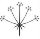 0400asc9-cda8-135x133.png