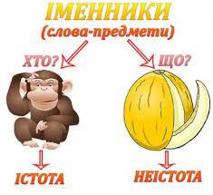 Що Таке Іменник? | NovoSVIT