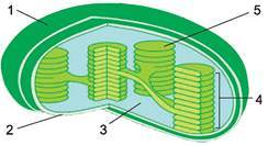 0400b4s4-aef3-244x132.jpg
